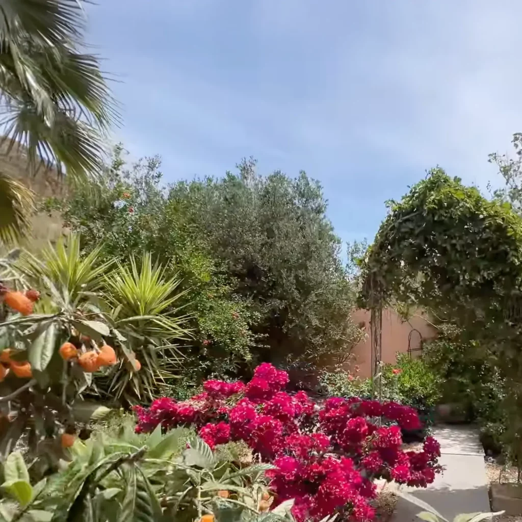 Cortijo Meliora Garden